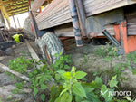 Skogsvagn Gisebo