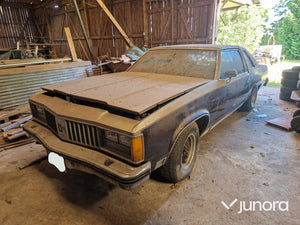 Oldsmobile 98 Regency C ( Garagefynd )