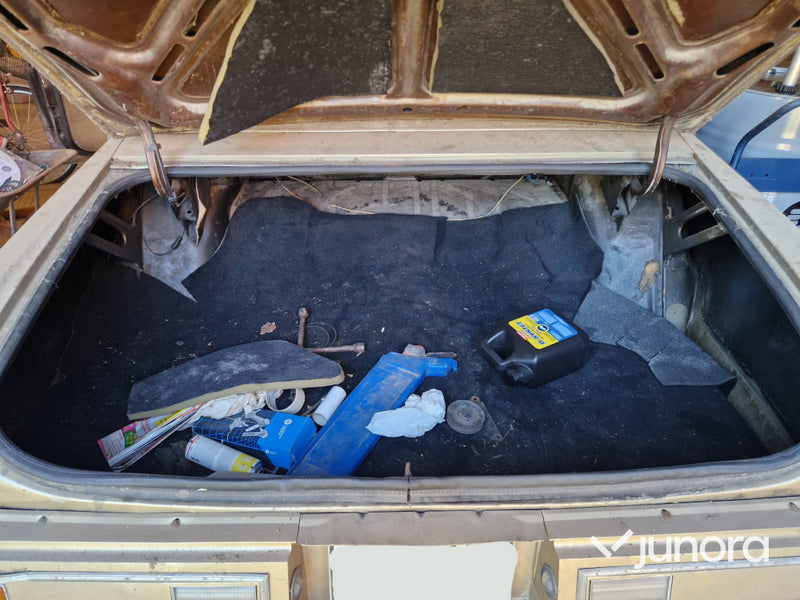 Oldsmobile 98 Regency C ( Garagefynd )
