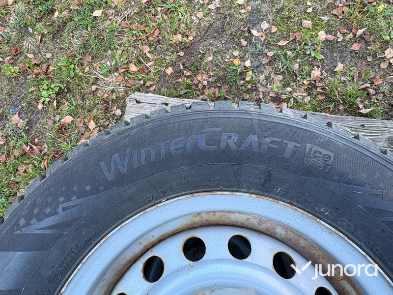 Hästsläp - Wörmann, Festival AluTec Edition