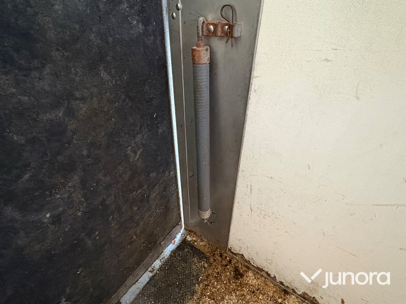 Hästsläp - Wörmann, Festival AluTec Edition