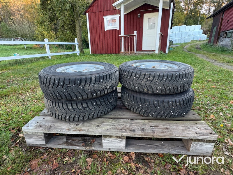 Hästsläp - Wörmann, Festival AluTec Edition