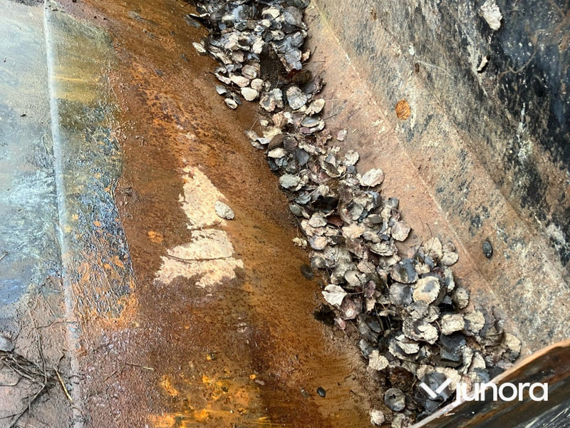 Skopa - Ålö, Trima/SMS