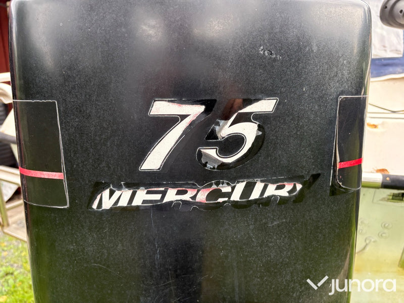 Ryds Camping 5.65 - 75hk 4-takt