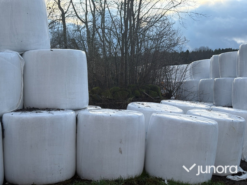 Foderbalar - Kravodlat 2025 (15st)