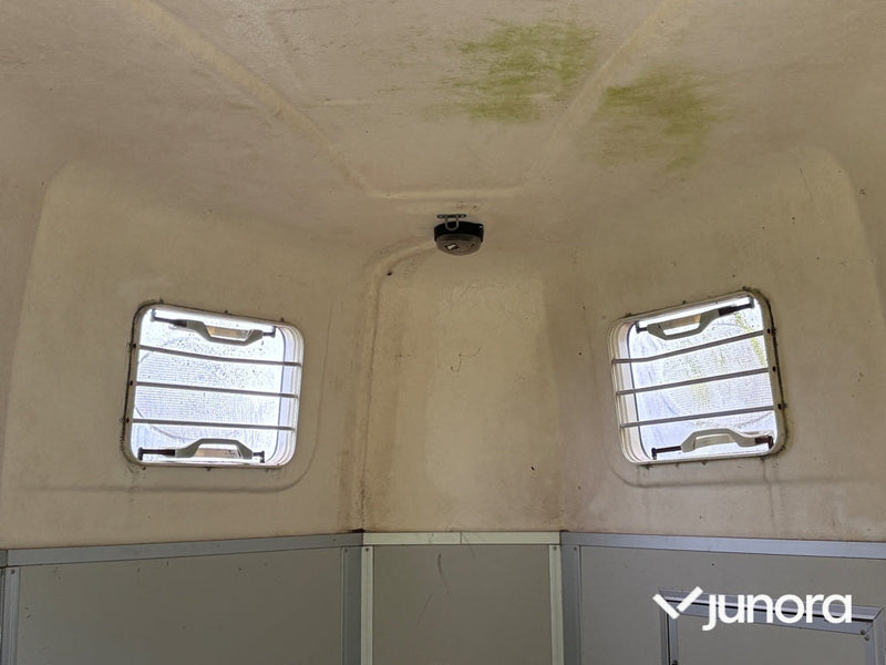 Hästtransport - Humbaur, Rapid