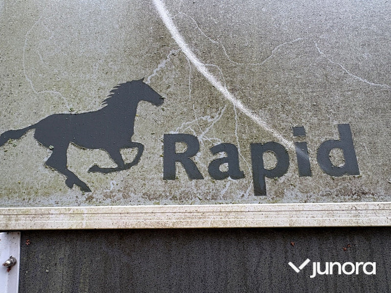 Hästtransport - Humbaur, Rapid