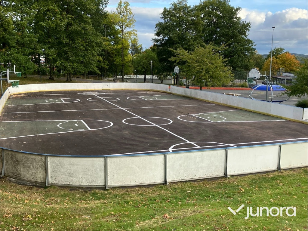 Hockey Rink