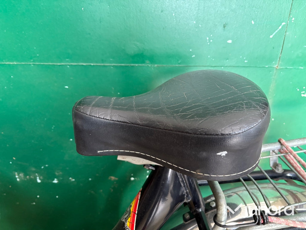 Moped - Mustang, Zundapp