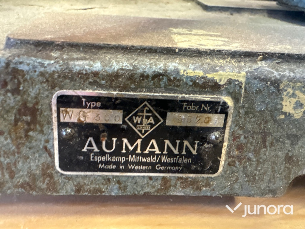 Lindningsmaskin - Aumann, WG 300, FL 220