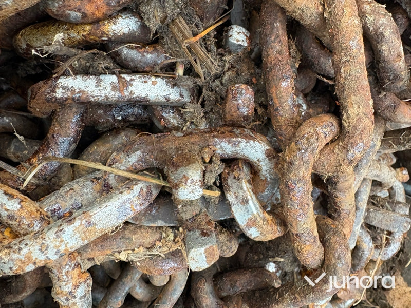 Baklastare - Volvo BM LM 218