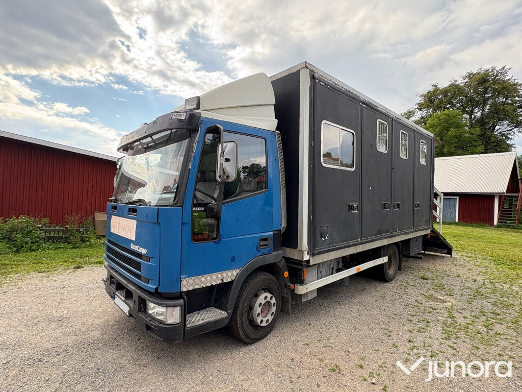Hästtransport Iveco EuroCargo 85E18