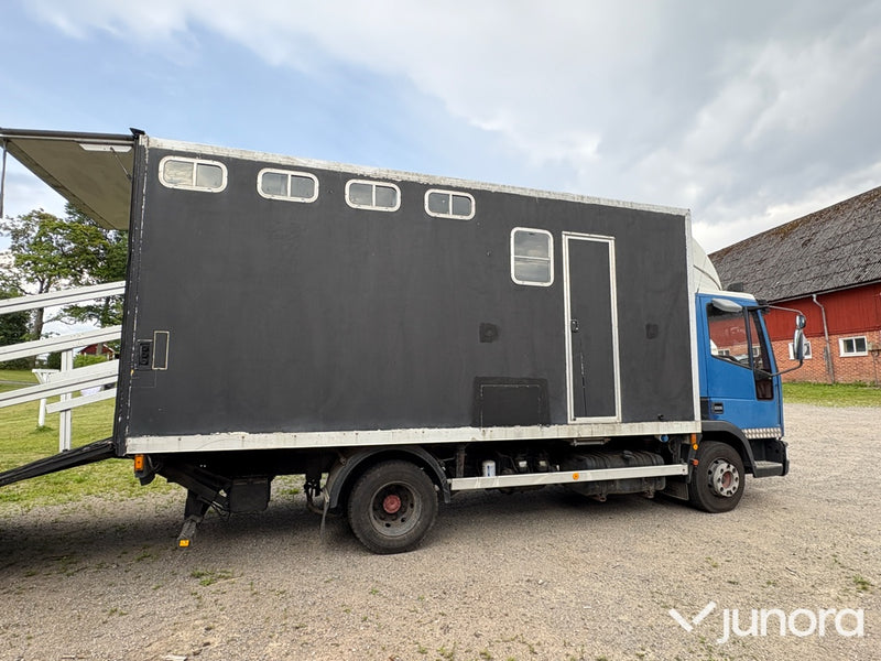 Hästtransport Iveco EuroCargo 85E18