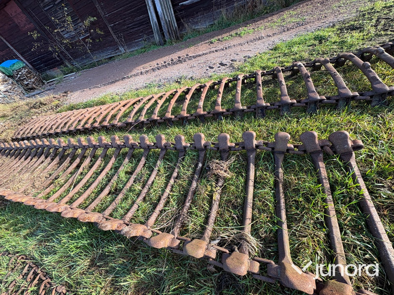 Skogsband - Dragande