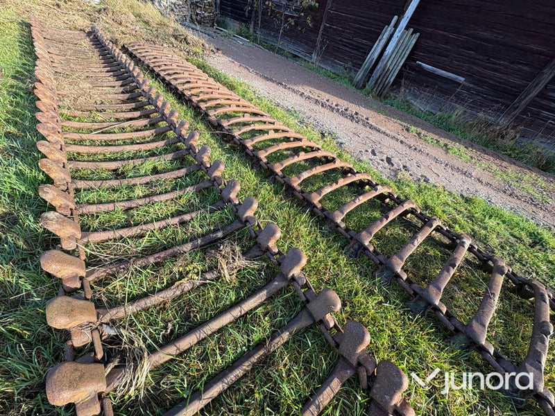 Skogsband - Dragande