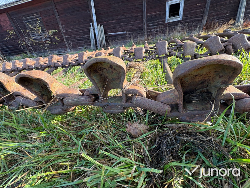 Skogsband - Dragande