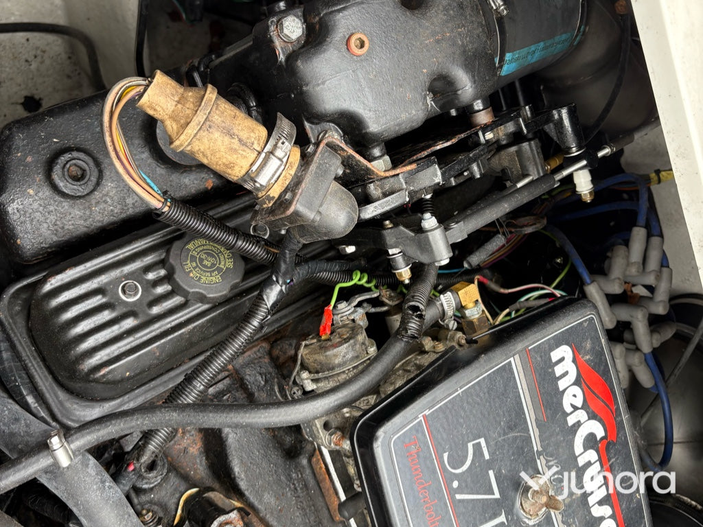Motorbåt - Donzi Regazza 25 – MerCruiser V8