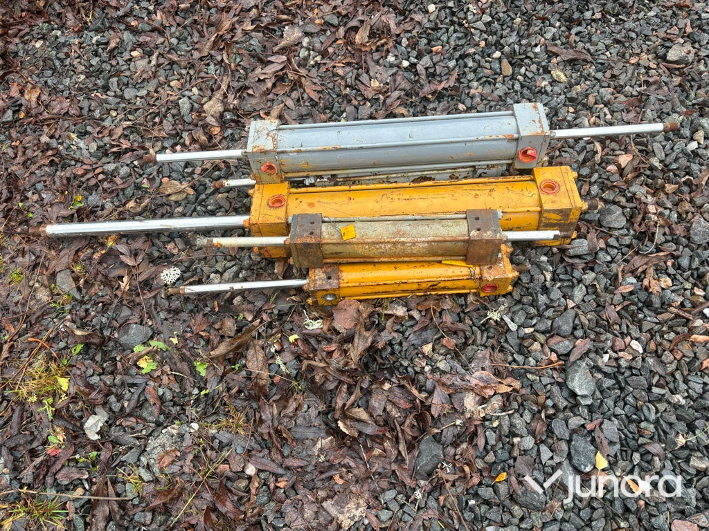Dubbelsidig pneumatik kolvar