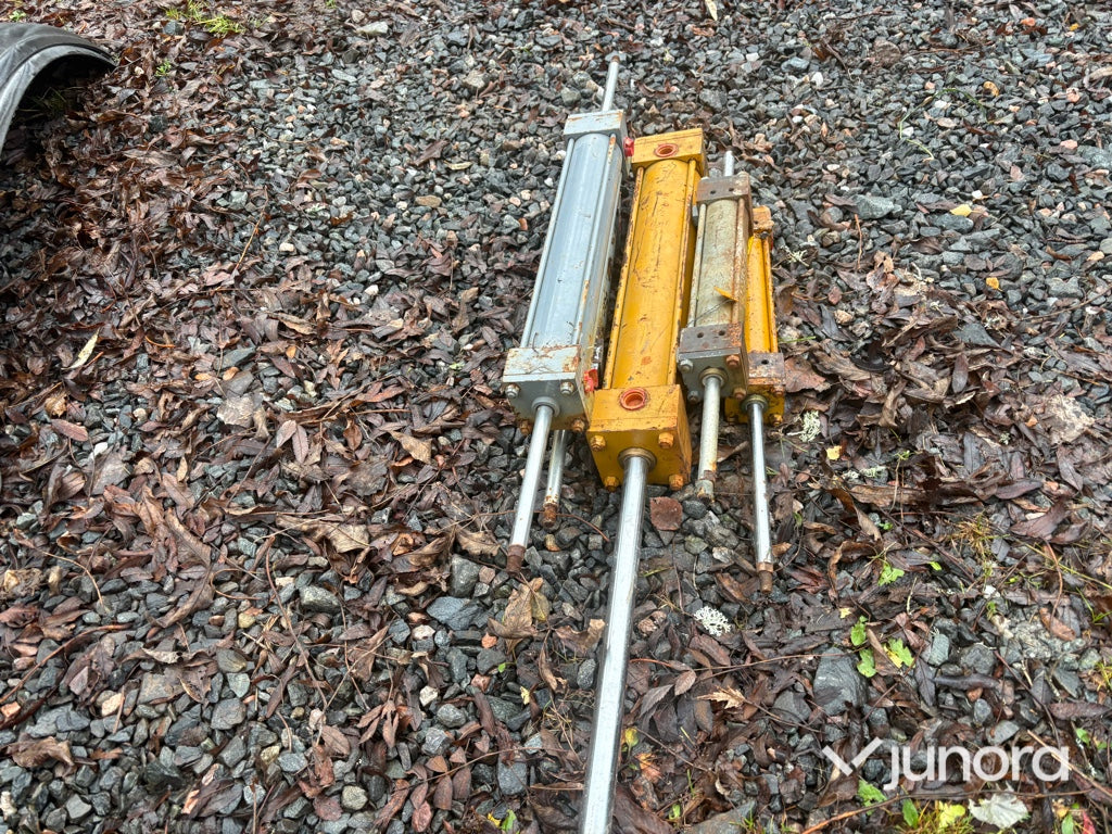 Dubbelsidig pneumatik kolvar
