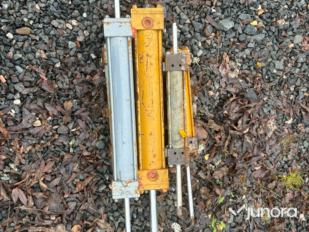 Dubbelsidig pneumatik kolvar
