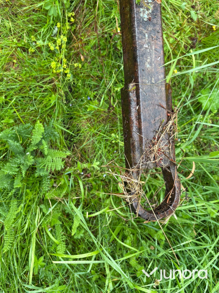 Baltransportör  Sparman