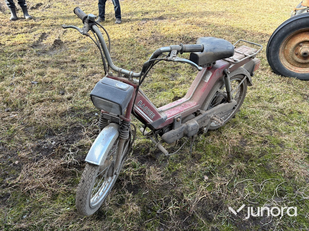 Moped - Baghee