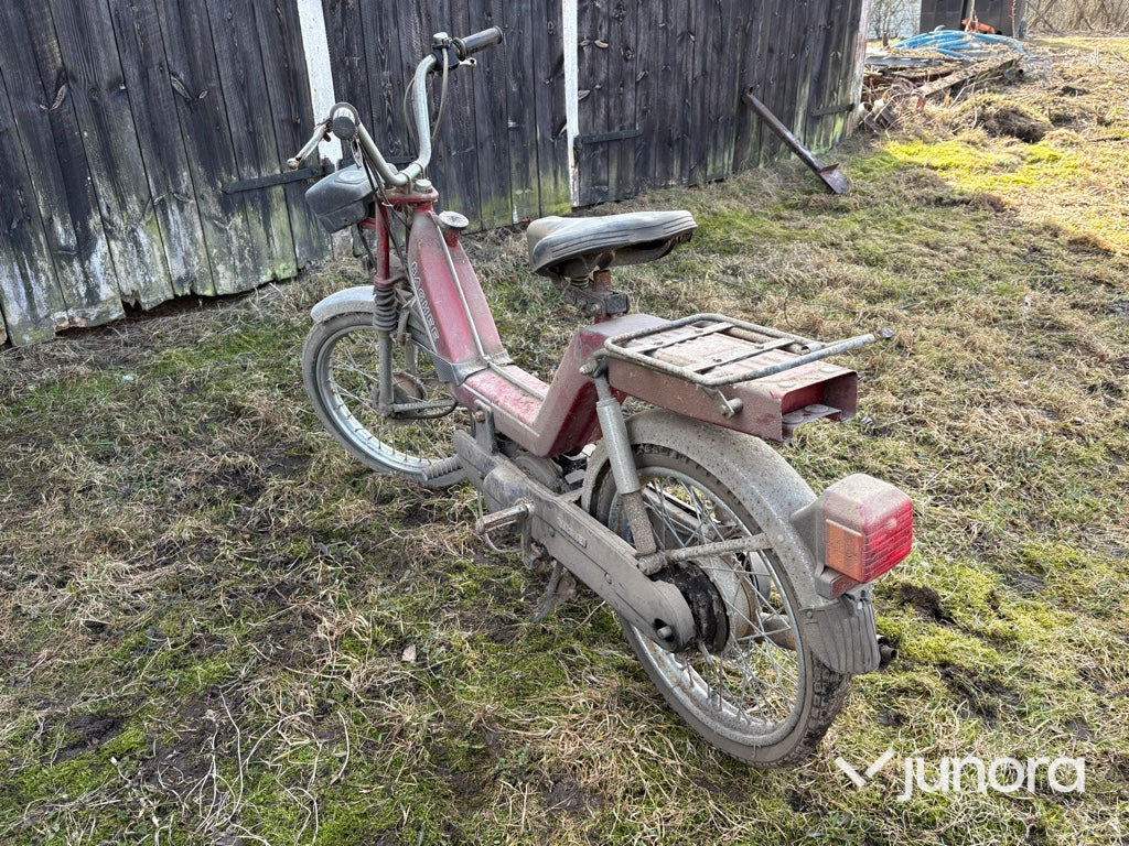 Moped - Baghee