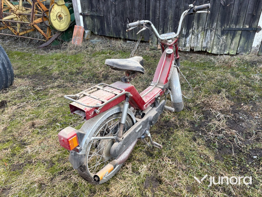 Moped - Baghee