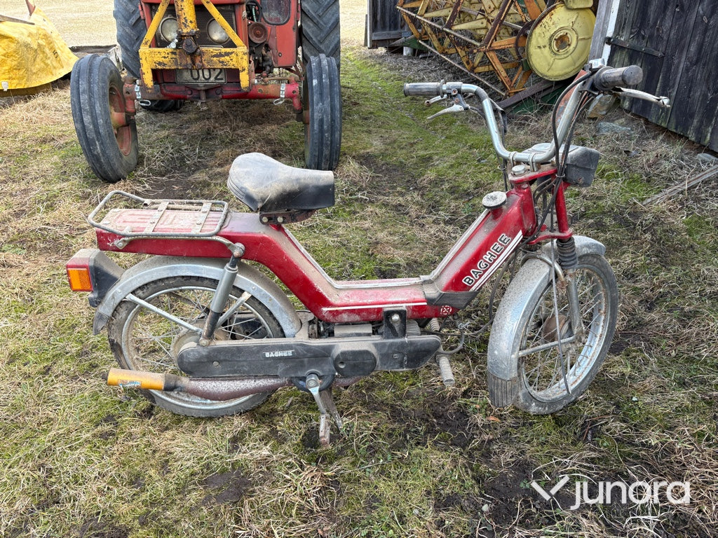 Moped - Baghee