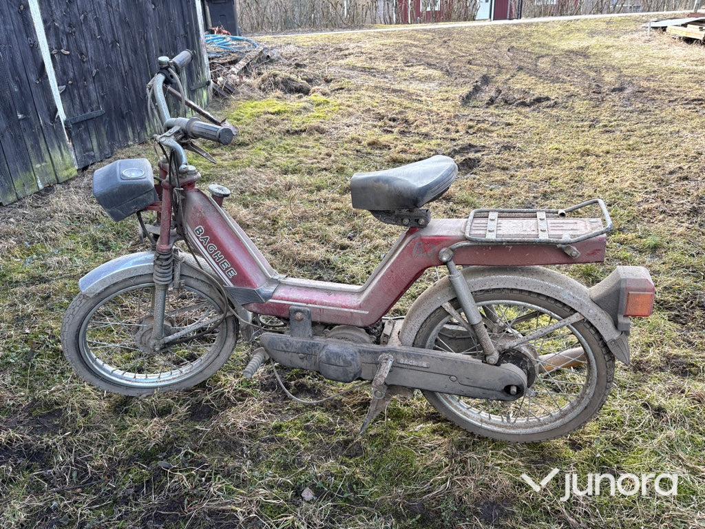 Moped - Baghee