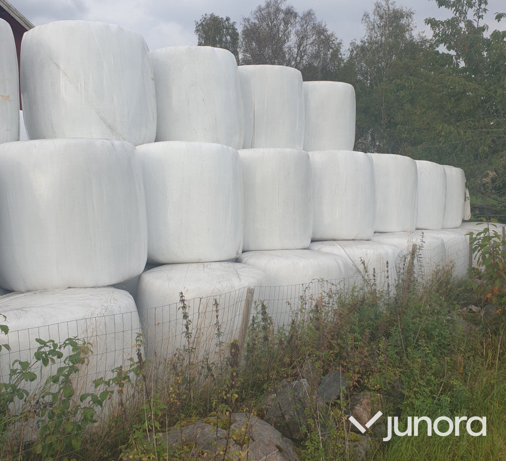 Höensilage