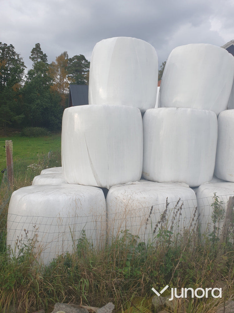 Höensilage