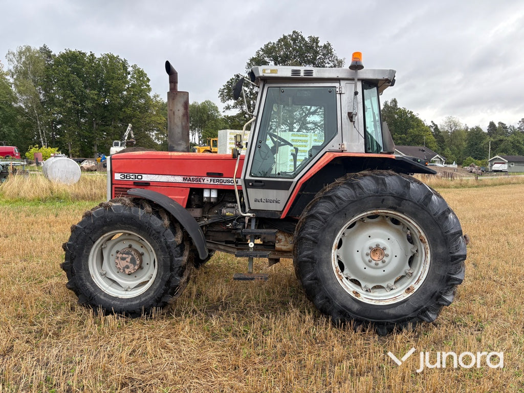 Traktor-MASSEY FERGUSON 3630-4