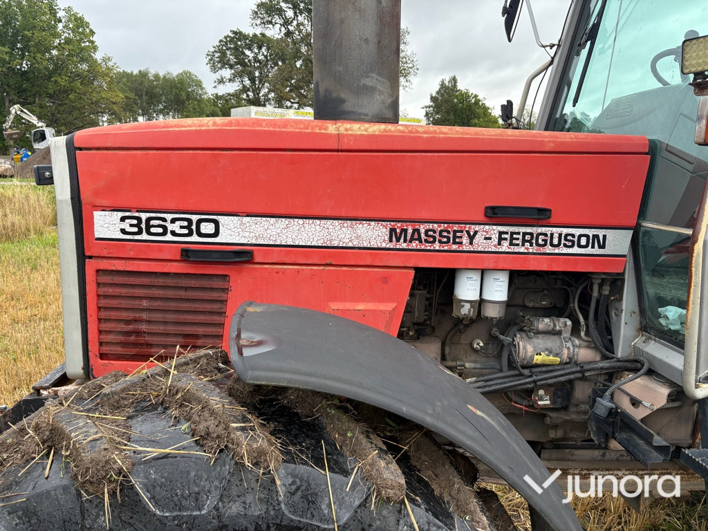 Traktor-MASSEY FERGUSON 3630-4