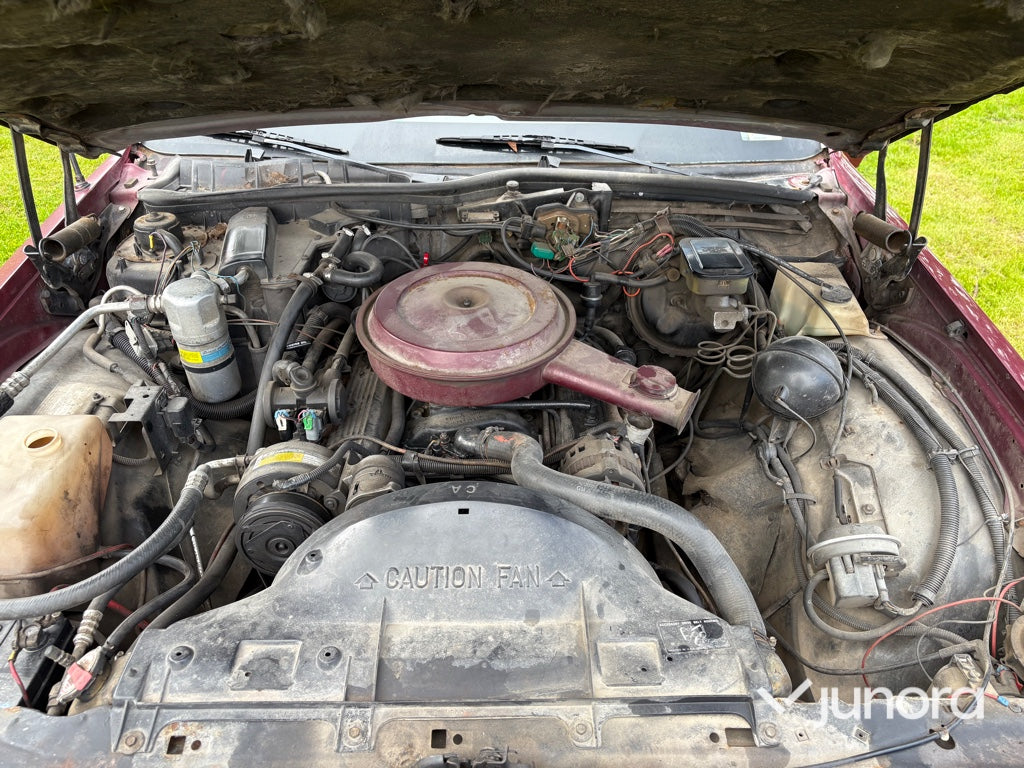 Veteranbil - Chevrolet, Caprice 5.0