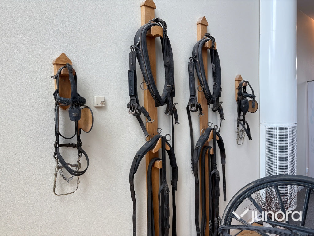 Hästvagn