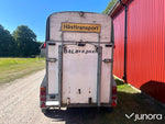 Hästtransport - Star Trailer HT