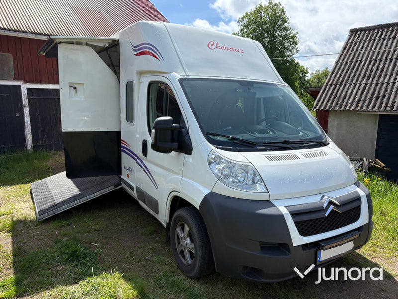 Hästtransport Citroën Jumper