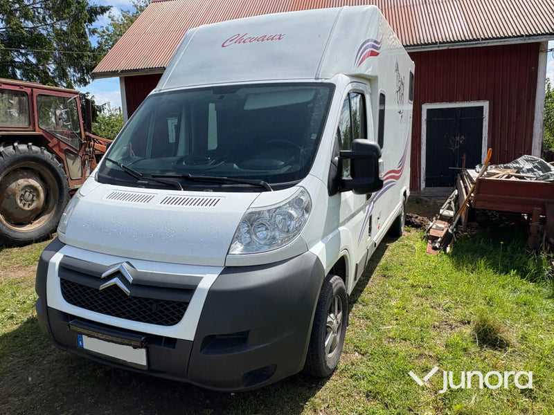 Hästtransport Citroën Jumper