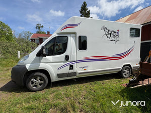 Hästtransport Citroën Jumper