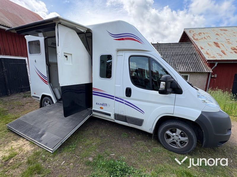 Hästtransport Citroën Jumper