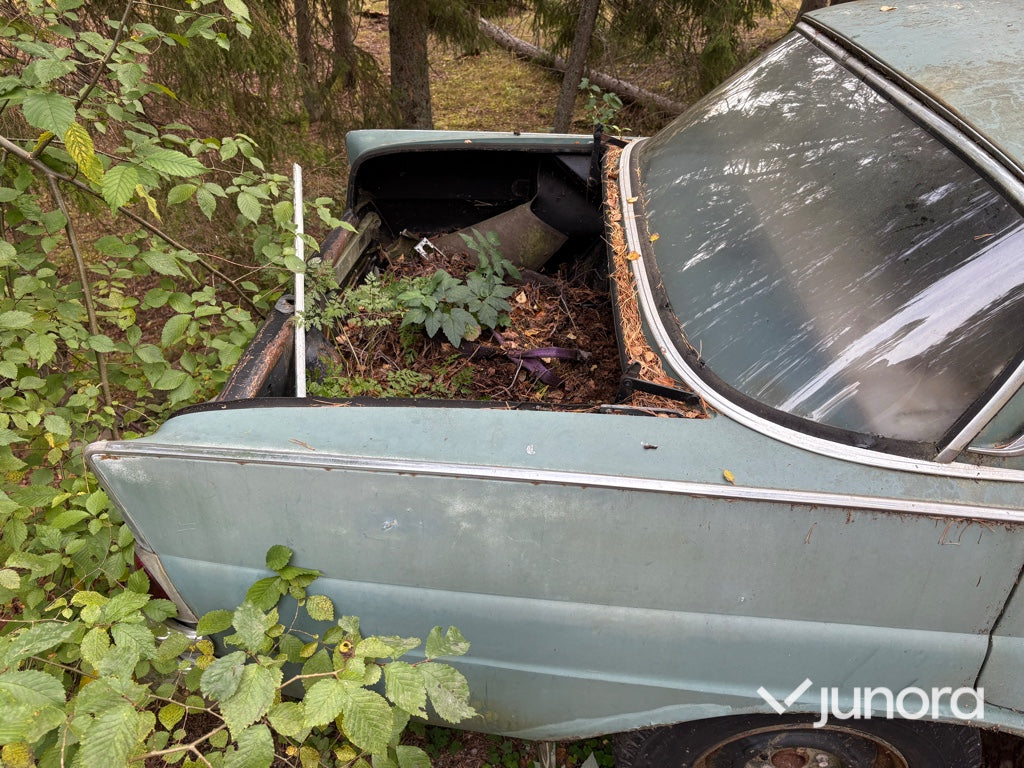 Renoveringsobjekt - Mercedes-Benz 220 S