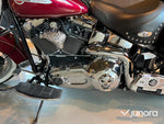 Harley-Davidson Flstci
