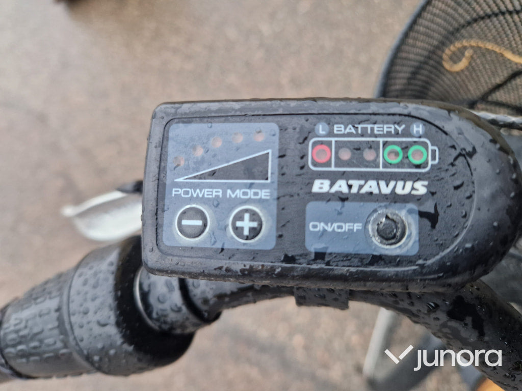 Elcykel - Batavus Torino