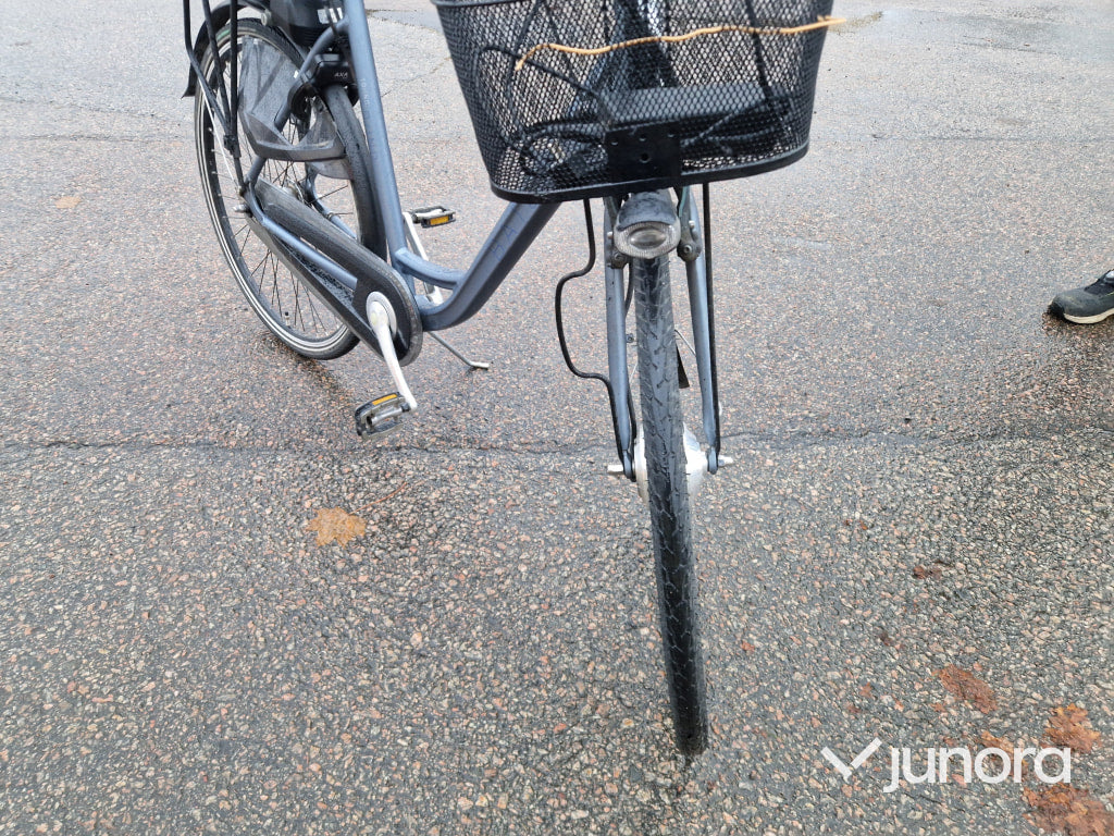 Elcykel - Batavus Torino