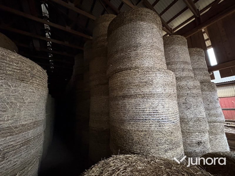Ströhalm - 20 balar