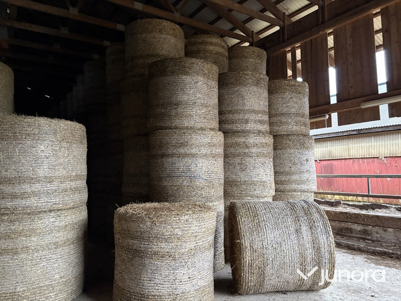 Ströhalm - 20 balar