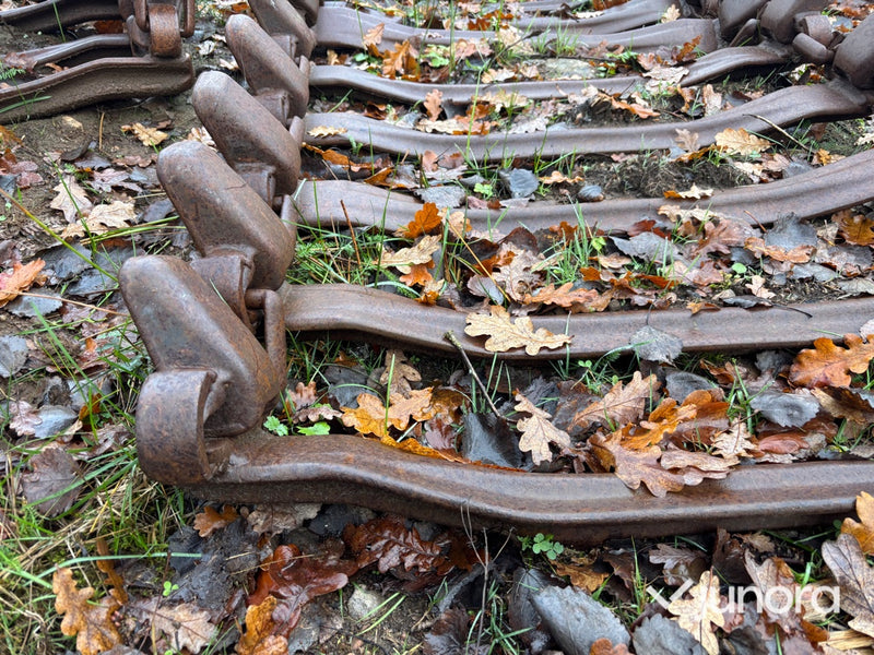 Skogsband - Olofsfors, 800 x 26,5