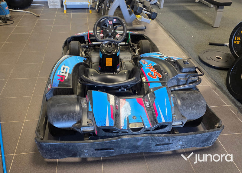 Gokart - Sodi, GTR