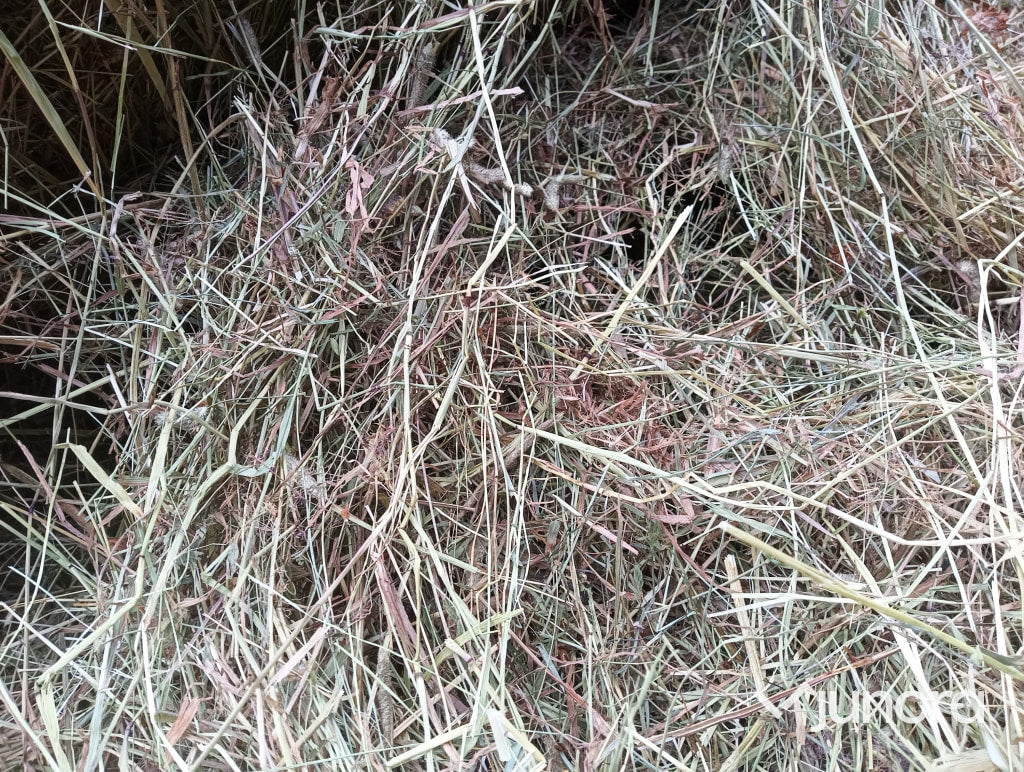 Hö/Hösilage - 10 st, plastad rundbal 120cm